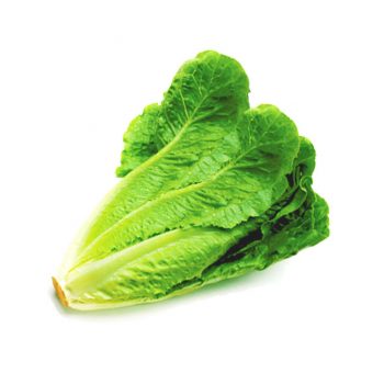 LECHUGA CRIOLLA(x kg)