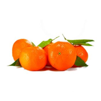 MANDARINA ORGANICA  (x kg)