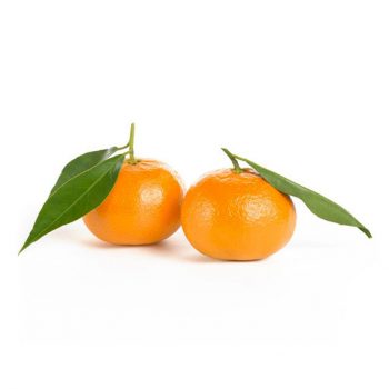 Mandarina Murcott (x kg)