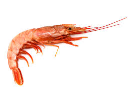 LANGOSTINOS ENTEROS X 450G