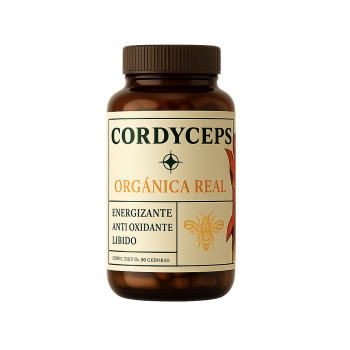 CORDYCEPS EN CAPSULAS ORGANICA REAL